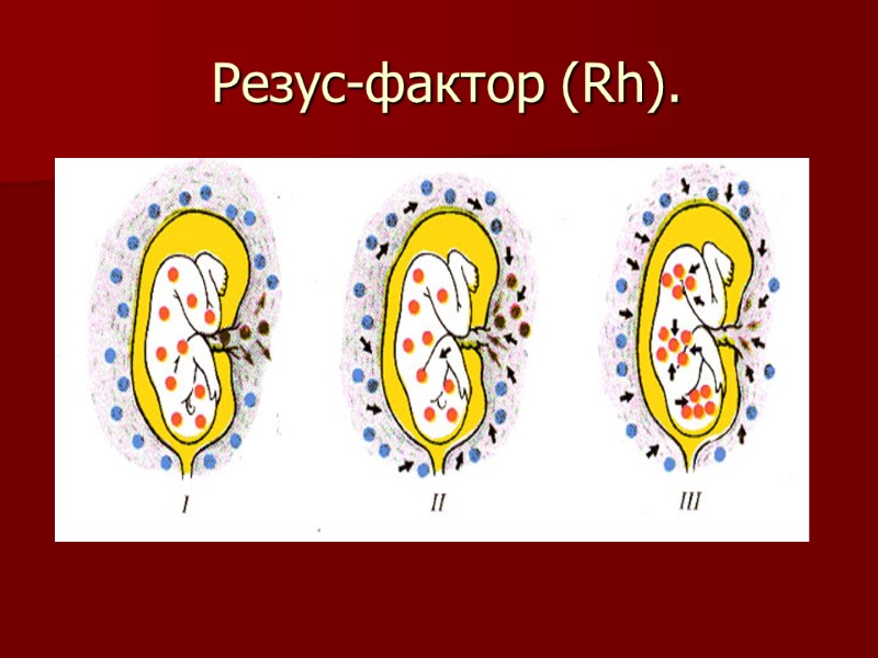 Резус-фактор (Rh).